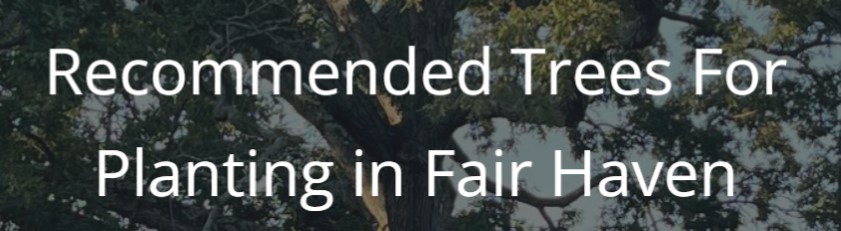 Recommended Tree List for Fair Haven