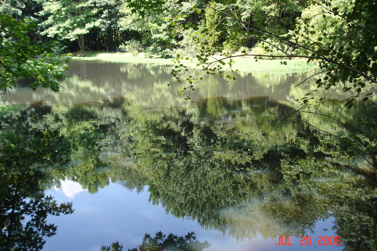 Fair Haven Walking Tour