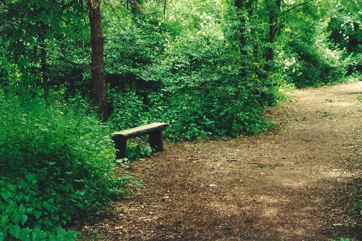 Trail Bench