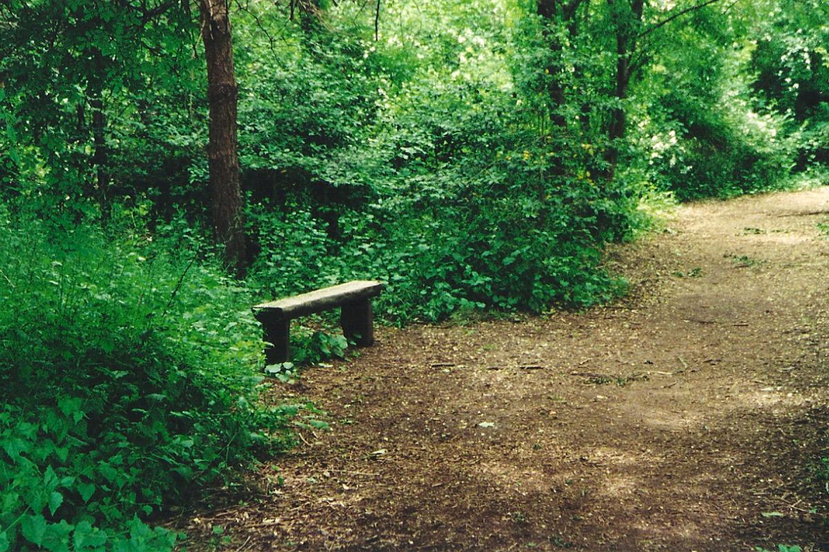 Trail Bench