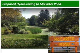 Power Point presentation -HYDRO-RAKING FOR MCCARTER POND