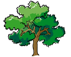 Shade Tree Commission TREE GIVEAWAY CONTEST