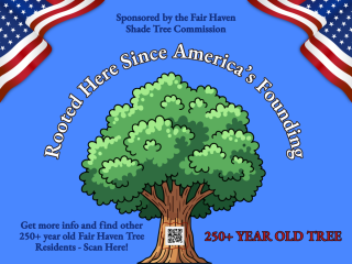 BIG TREES OF FAIR HAVEN