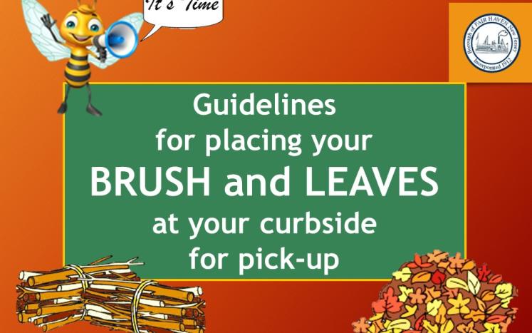 GUIDELINES FOR BRUSH AND LEAF PICK-UP 
