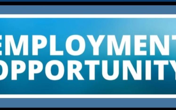 EMPLOYMENT OPPORTUNITY - PUBLIC WORKS