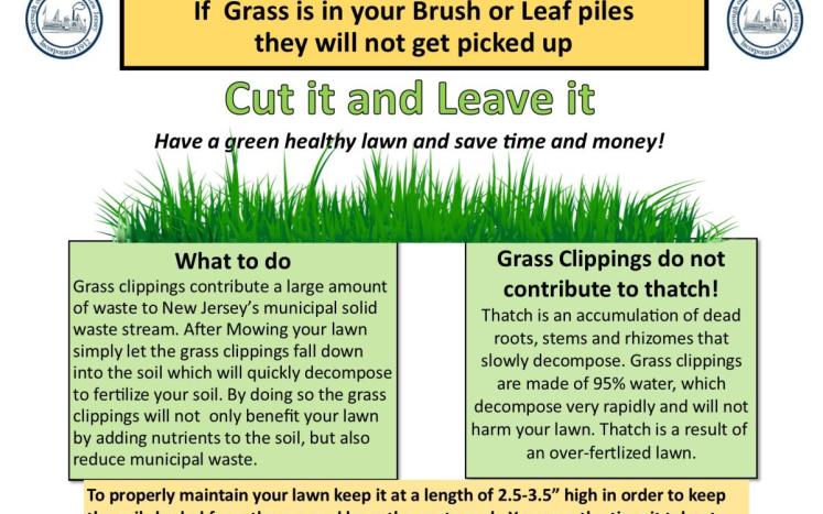 Grass Clippings