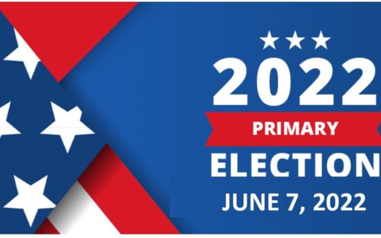 2022 PRIMARY ELECTION