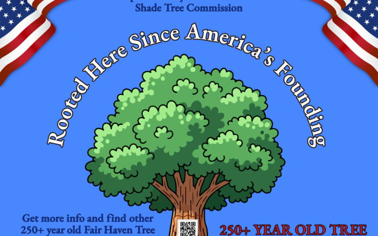 BIG TREES OF FAIR HAVEN