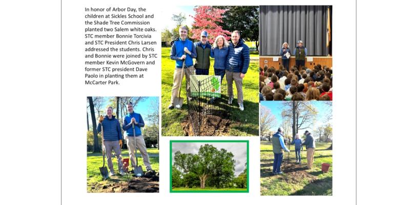Salem Oak Tree Planting
